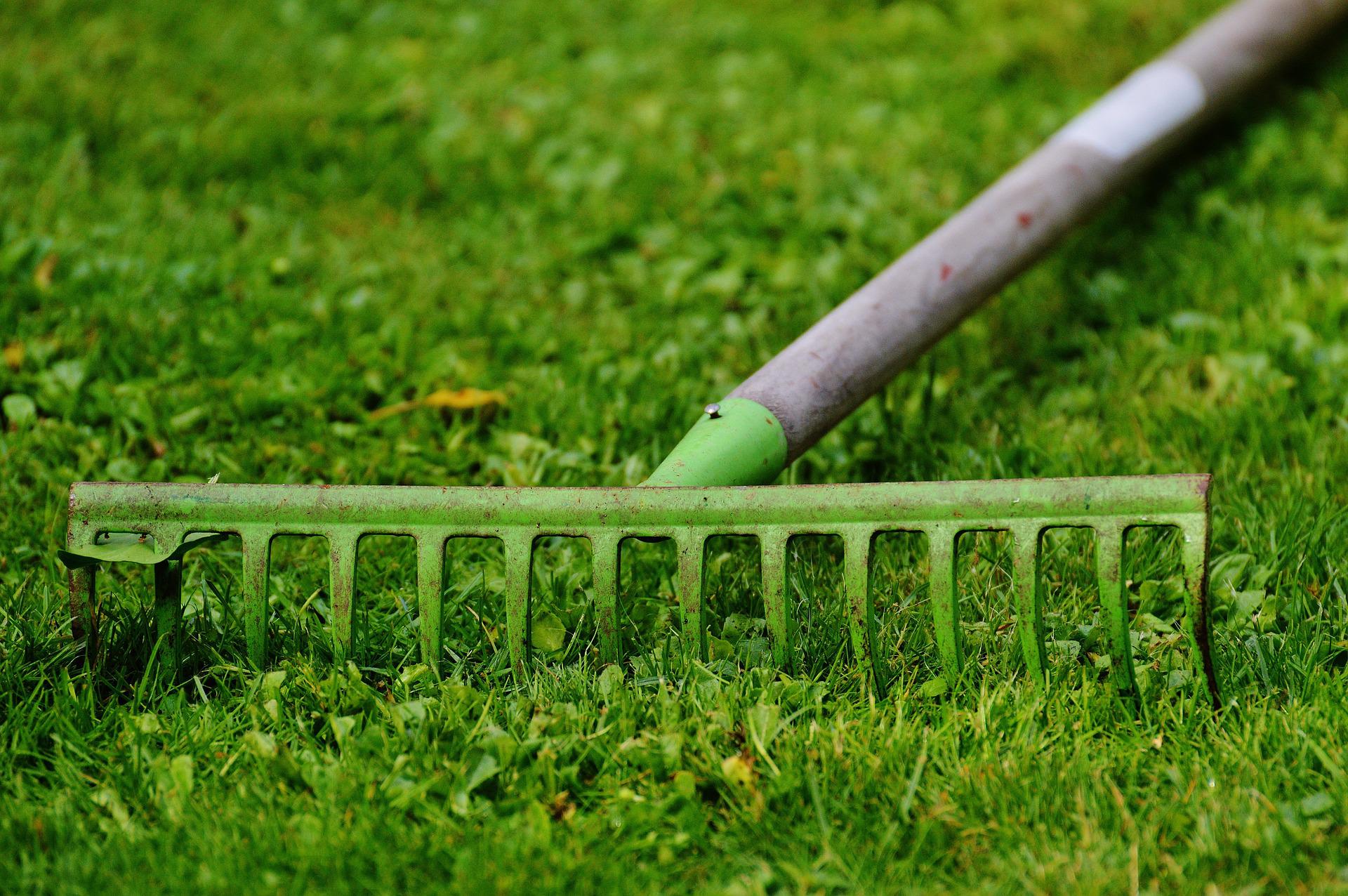 Jak odpowiednio dbać o sprzęty ogrodowe?